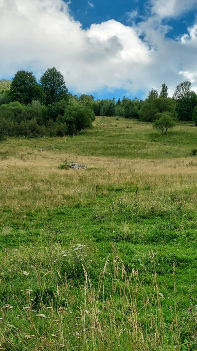 Teren 15.000mp, case de tip A/casă de vacanță ,zona Băișoara jud Cluj