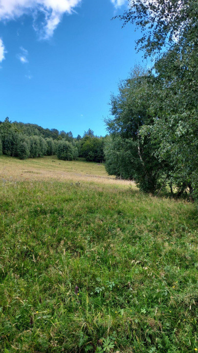 Teren 15.000mp, case de tip A/casă de vacanță ,zona Băișoara jud Cluj