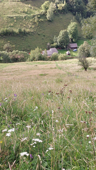 Teren 15.000mp, case de tip A/casă de vacanță ,zona Băișoara jud Cluj