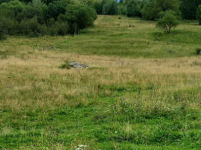 Teren 15.000mp, case de tip A/casă de vacanță ,zona Băișoara jud Cluj