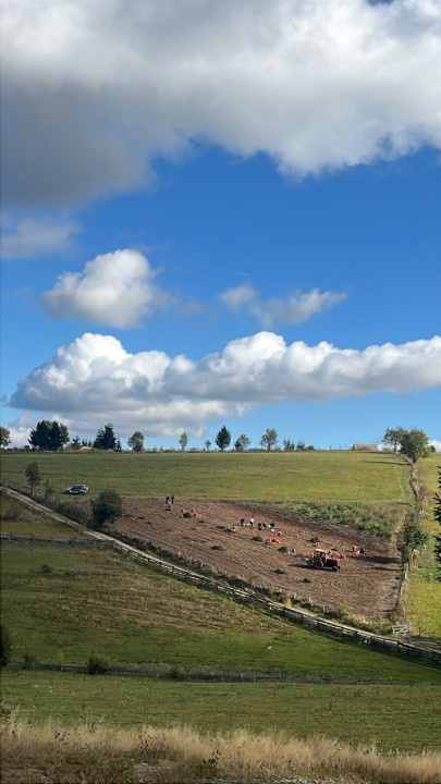 Teren de 14.000 mp în Mărișel zonă centrală 
