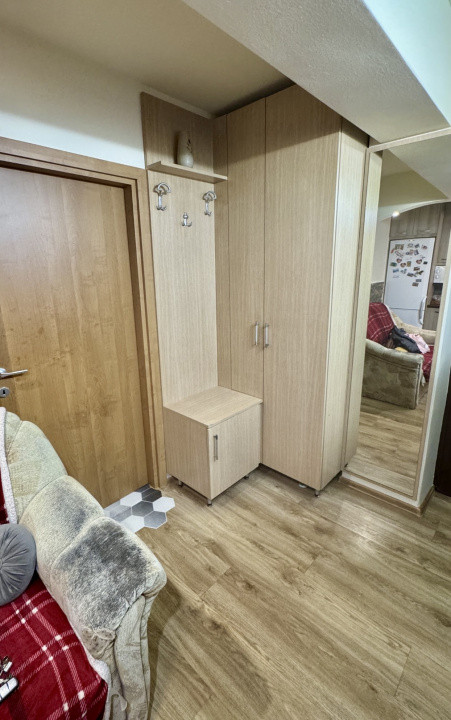 Apartament 1 cameră, mobilat, zona Muzeul Apei