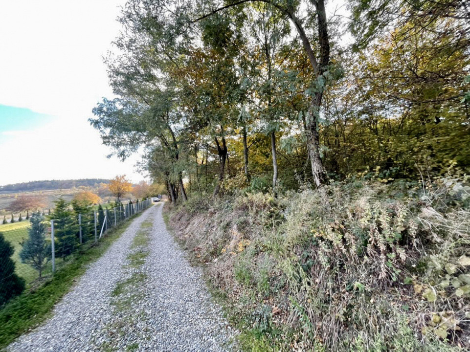 Teren 1256 mp, de vânzare, zona Ciurila