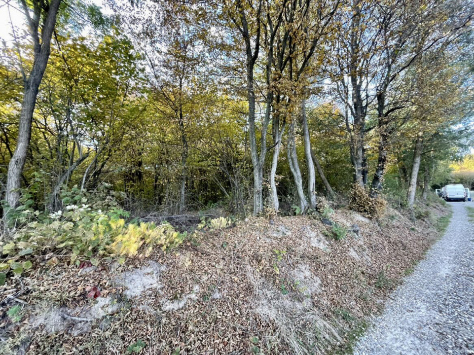 Teren 1256 mp, de vânzare, zona Ciurila