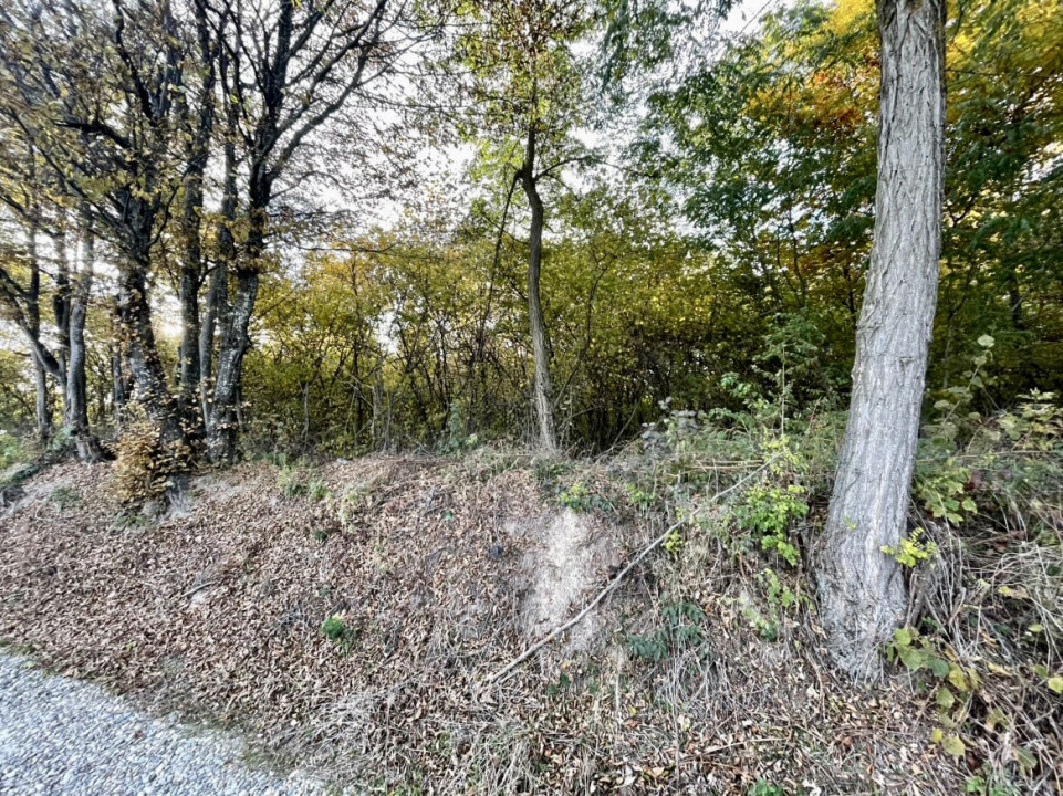 Teren 1256 mp, de vânzare, zona Ciurila