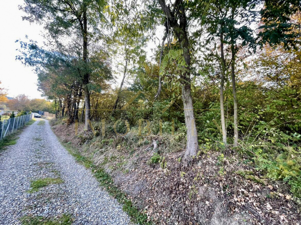 Teren 1256 mp, de vânzare, zona Ciurila