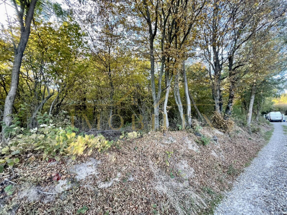 Teren 1256 mp, de vânzare, zona Ciurila