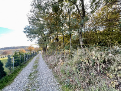 Teren 1256 mp, de vânzare, zona Ciurila/Cluj