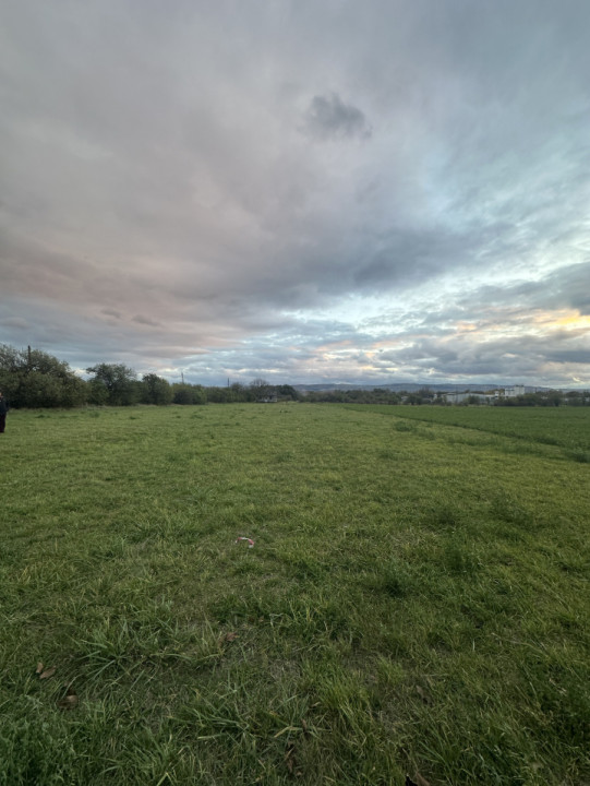 Teren 2740mp, INTRAVILAN, pretabil case/hale, zona Bulevardul Muncii