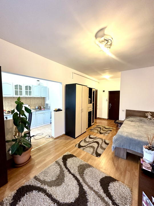 Apartament modern 1 camera, de inchiriat, zona Porii