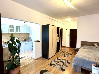 Apartament modern 1 camera, de inchiriat, zona Porii