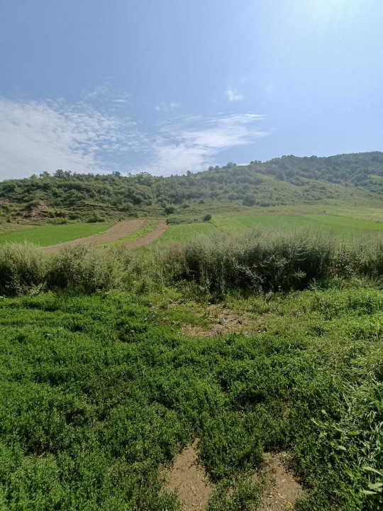 Teren intravilan 2760 mp, zona Savadisla-Vlaha