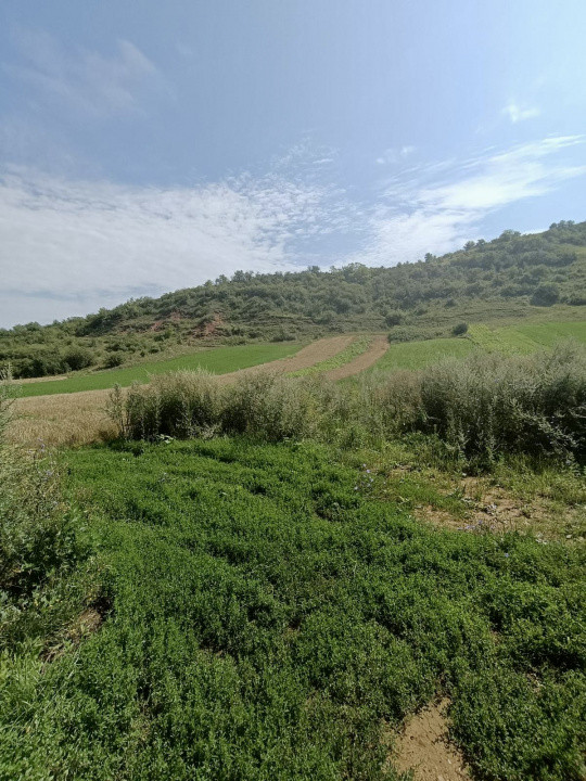 Teren intravilan 2760 mp, zona Savadisla-Vlaha