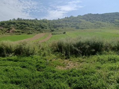 Teren intravilan 2760 mp, zona Savadisla-Vlaha