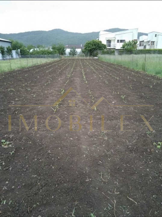 Casa demolabila, teren intravilan 1700 mp 