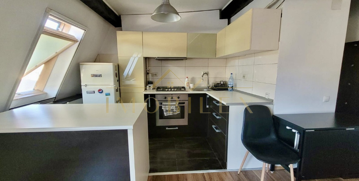 Apartament 2 camere, zona Muzeul Apei