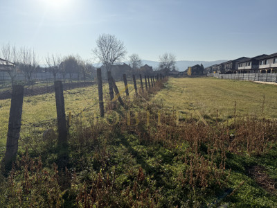 Teren intravilan 1900 mp, construcții duplex/case, zona Avram Iancu  