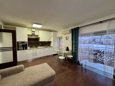 Apartament 2 camere, zona Porii