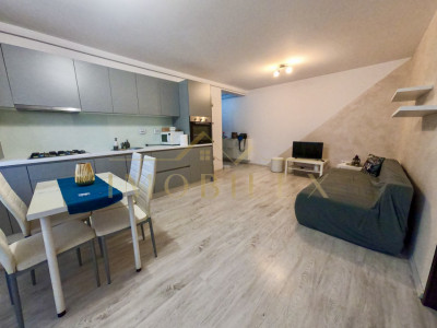 Apartament 2 camere de inchiriat, zona Sub Cetate