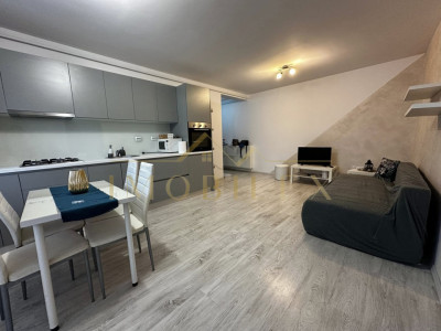 Apartament 2 camere de inchiriat, zona Sub Cetate