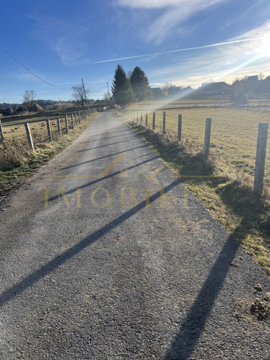 Teren de 20.000 mp , parcelabil în Mărișel 