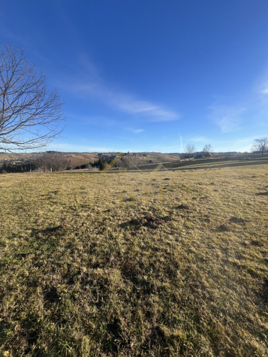 Teren de 20.000 mp , parcelabil în Mărișel 