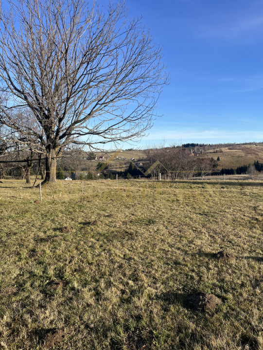 Teren de 20.000 mp , parcelabil în Mărișel 