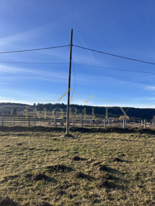 Teren de 20.000 mp , parcelabil în Mărișel 