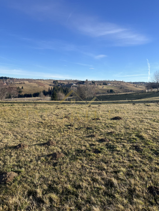 Teren de 20.000 mp , parcelabil în Mărișel 