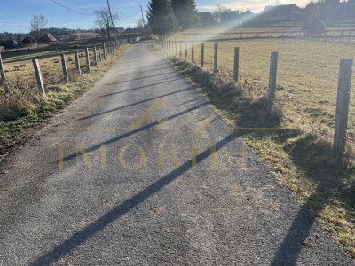 Teren de 4500 mp , zonă liniștită în Mărișel 