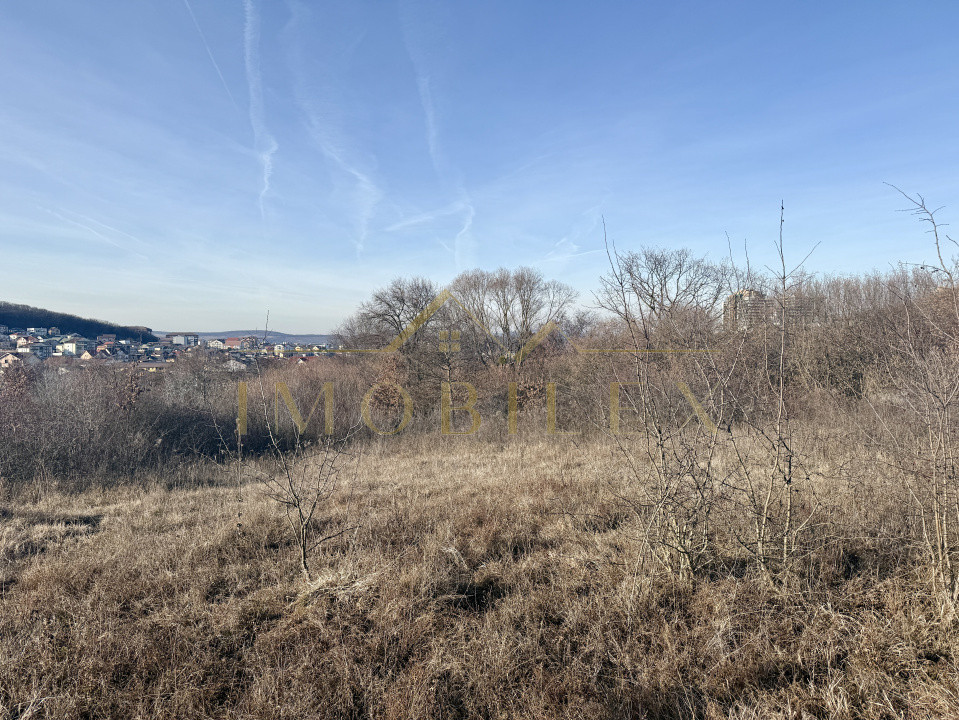 Investiție! Teren intravilan 4000 mp, construcții, zona Europa Cluj