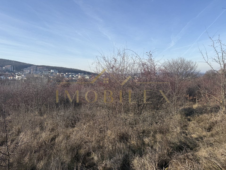 Investiție! Teren intravilan 4000 mp, construcții, zona Europa Cluj