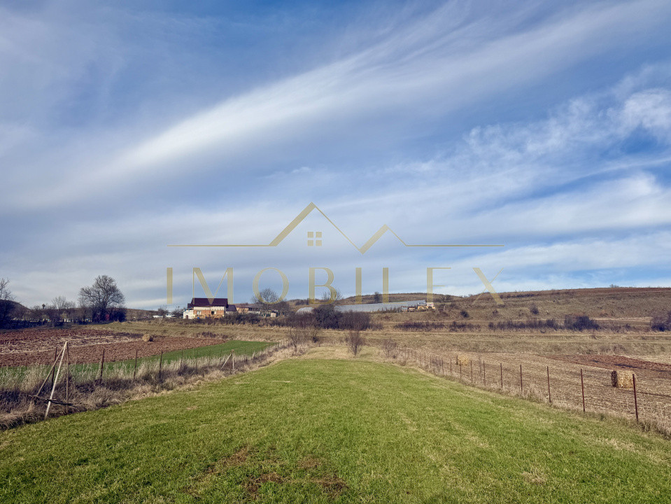 Teren INTRAVILAN 1890mp, Finisel-Savadisla 