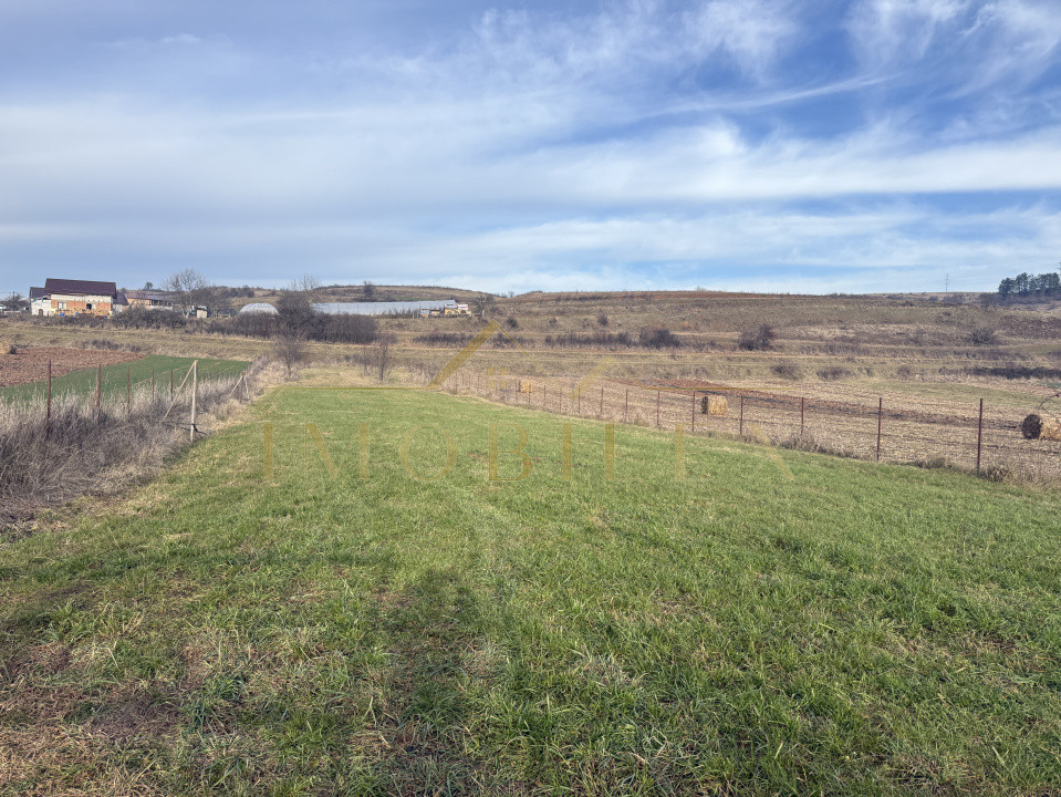 Teren INTRAVILAN 1890mp, Finisel-Savadisla 