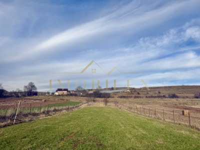 Teren INTRAVILAN 1890mp, Finisel-Savadisla 