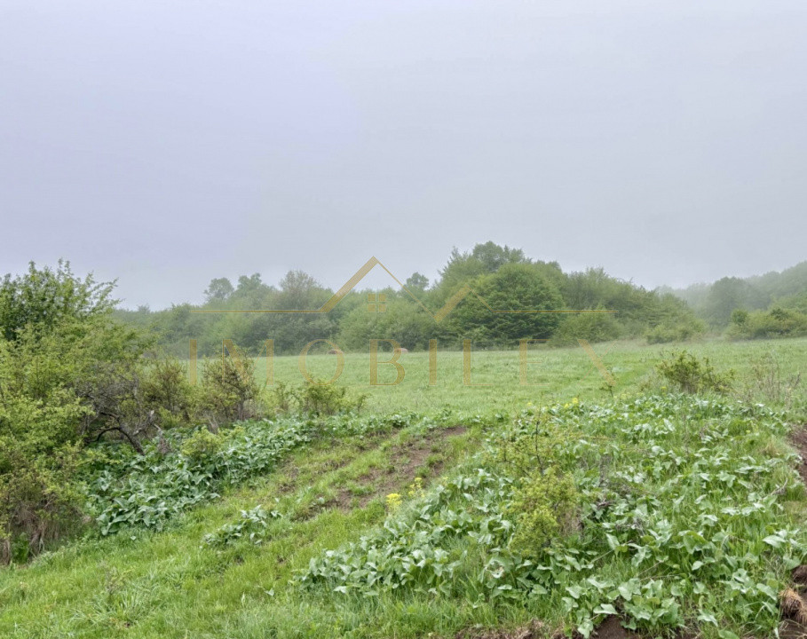 Teren intravilan investiție case 4300 mp, zona Valea Garbaului