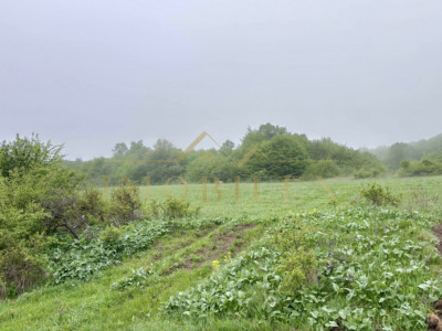 Teren intravilan investiție case 4300 mp, zona Valea Garbaului