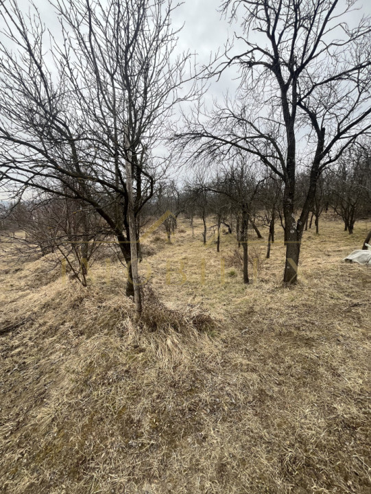 Teren de vânzare,intravilan în zona Becaș de 2175 mp