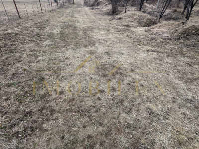 Teren de vânzare,intravilan în zona Becaș de 2175 mp