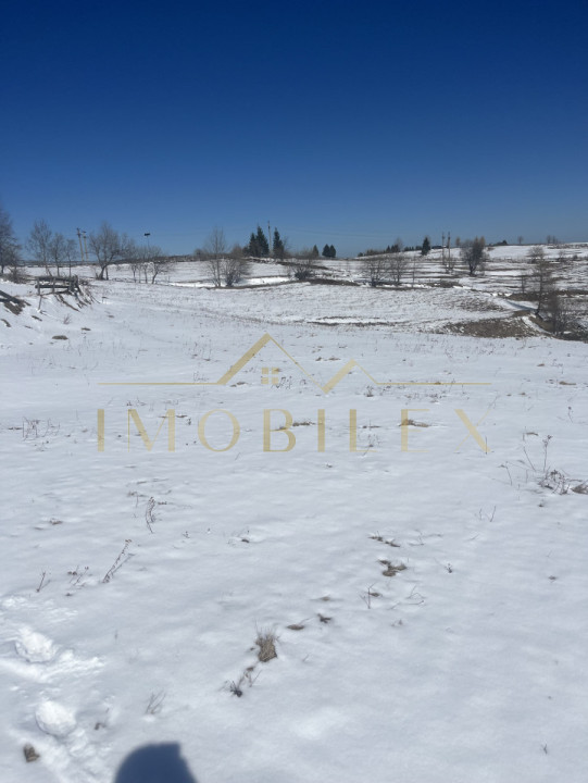  Teren în Mărișel 5000 mp