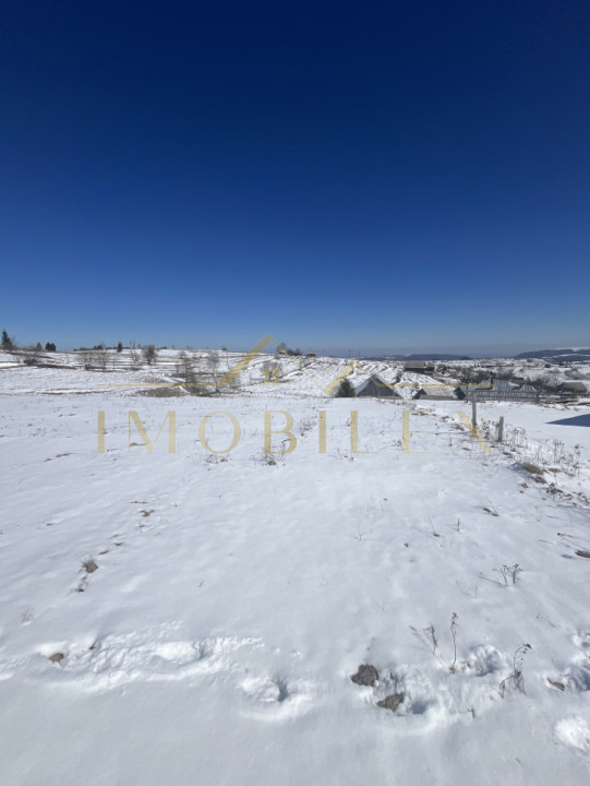  Teren în Mărișel 5000 mp