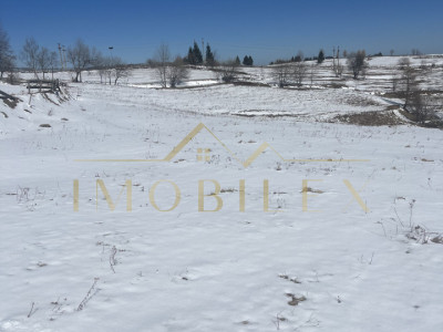  Teren în Mărișel 5000 mp