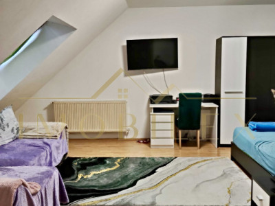 Apartament 1 camera, zona Porii