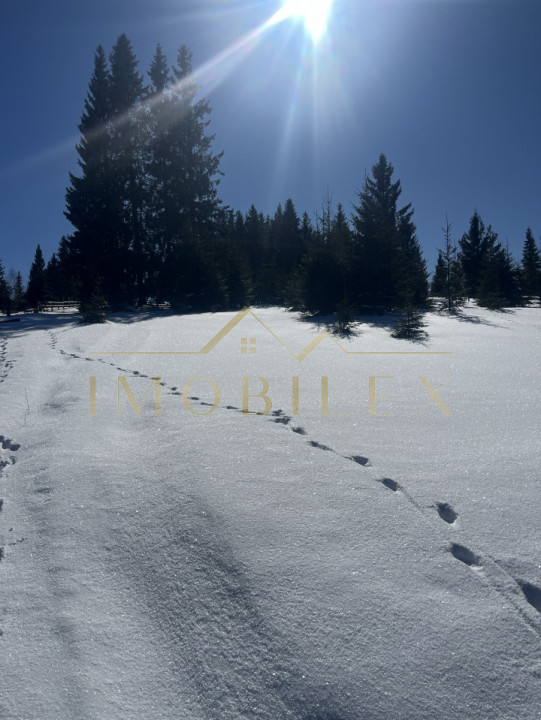 Teren intravilan 800 mp cu PUZ ,Certificat de urbanism la 200m de pârtia de schi