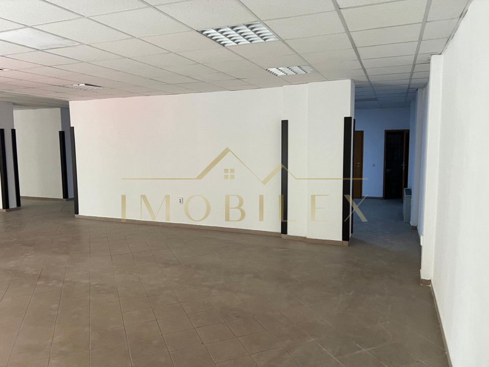 Spațiu comercial 196 mp zona Iulius mall 