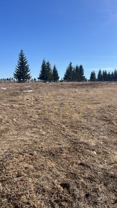 Teren Intravilan de 1000 mp , zonă centrală , Copcea , Mărișel 