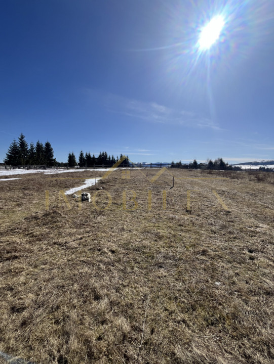 Teren Intravilan de 1000 mp , zonă centrală , Copcea , Mărișel 