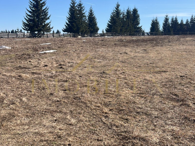 Teren Intravilan de 1000 mp , zonă centrală , Copcea , Mărișel 