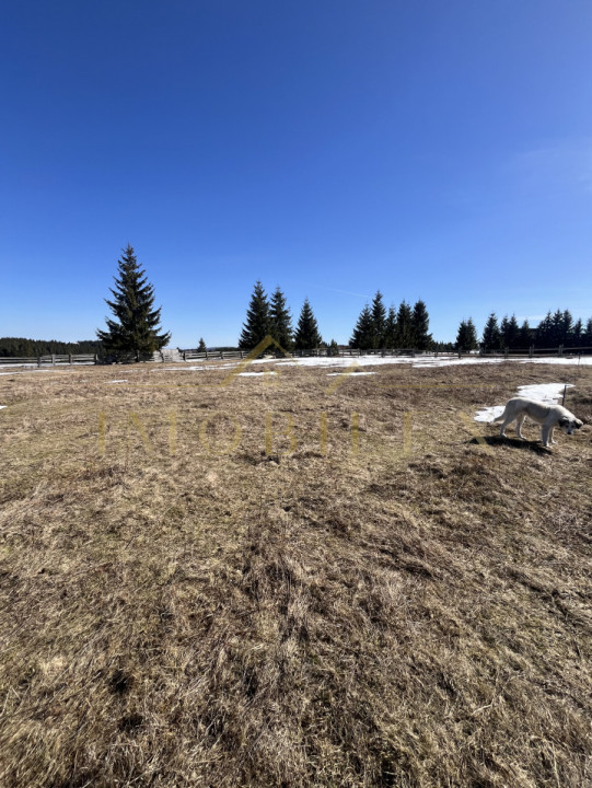 Teren Intravilan de 1804 mp , CF, zona Copcea , Mărișel 