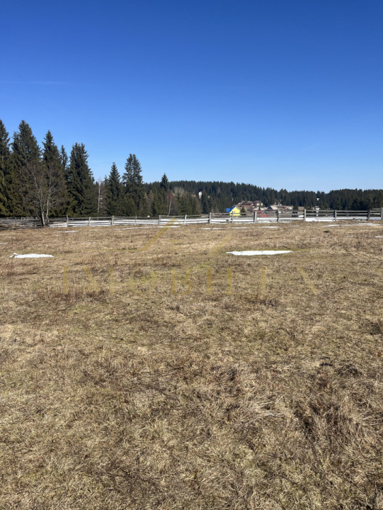 Teren Intravilan de 1804 mp , CF, zona Copcea , Mărișel 